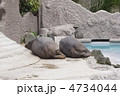 キュートなお尻