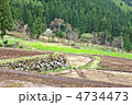 長野　飯山市　福島棚田