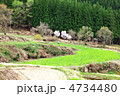 長野　飯山市　福島棚田