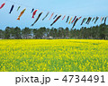 秋田　大潟村