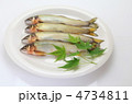 新鮮な鮎