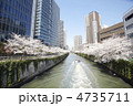 都会の桜