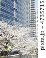 都会の桜