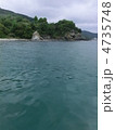 海