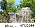 石垣群 石垣群