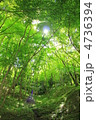 香嵐渓の新緑