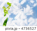 天使 天使