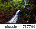 四万不動の滝（群馬県中之条町）