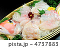 おいしい鯛の刺身