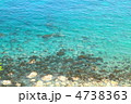 海