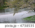 葉桜