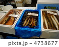 魚市場