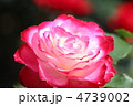 ジュビレ デュ プリンスドゥ モナコ