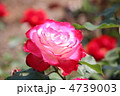 ジュビレ デュ プリンスドゥ モナコ