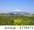 岩木山