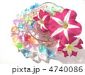 ペチュニアの花　夏イメージ