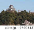 桜咲く犬山城