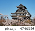 桜咲く犬山城