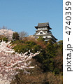 桜咲く犬山城