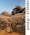 桜咲く松山城