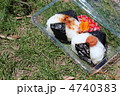 芝生で食べるおにぎり
