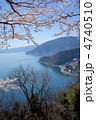 奥琵琶湖と桜