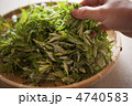 よもぎ