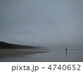 beach in tasmania