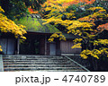 京都　法然院の紅葉