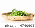 春の野菜　キヌサヤ