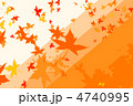 もみじ