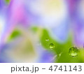 球形の水滴