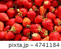 苺001