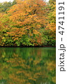 長野県小谷村・鎌池の紅葉