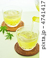 緑茶楓縦