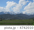 北アルプスの春