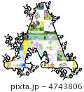 4743806