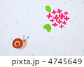 カタツムリとアジサイ