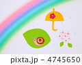 雨上がりの6月