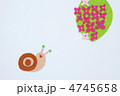 カタツムリとアジサイ