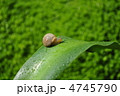 ひとやすみ
