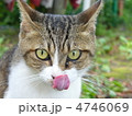 なめんあよ！