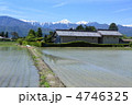 信州の田園風景