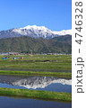 田園の春