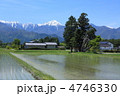 信州の田園風景