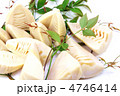 春の味覚・茹で筍・白バック横位置