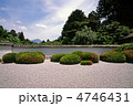 京都　正伝寺の庭園