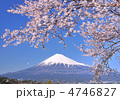 桜と富士山-222857