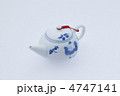 中国茶用_急須