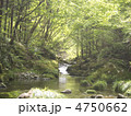 新緑